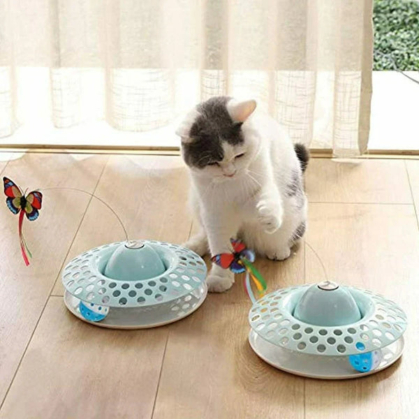 🐾 L’importance du jeu automatique pour stimuler votre chat