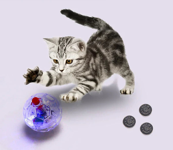 🐾 Stimulez l’instinct de jeu de votre chat avec les balles interactives et lumineuses