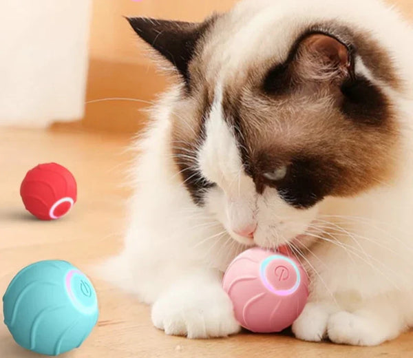 🐱 Pourquoi offrir une balle interactive automatique à votre chat ?