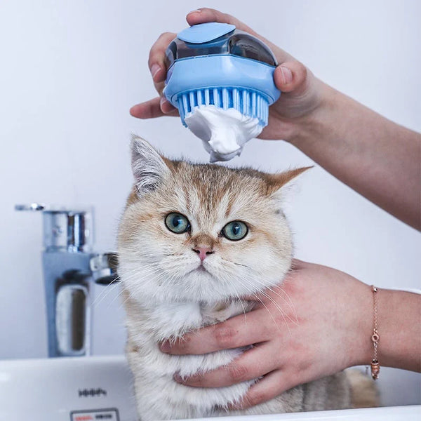 Nouvelle brosse toilettage en un clic pour chats : un coup de cœur pour le pelage de votre félin