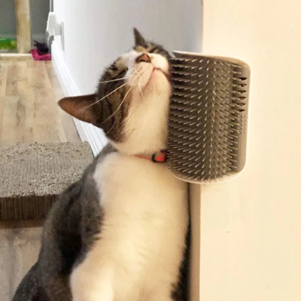 Brosse autonettoyante et arche de toilettage pour chats : un soin pratique et confortable pour votre félin