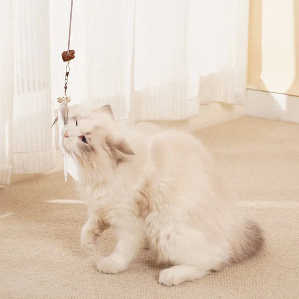 🐾 Stimulez l’intelligence de votre chat avec la balle éducative