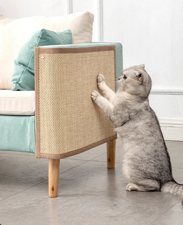 🐾 Meubles préservés, chat satisfait : et si la vraie solution, c’était l’harmonie ?