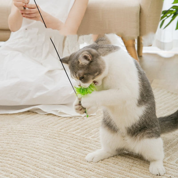 🐾 Pourquoi un bâton de jeu avec ventouse est un must pour votre chat ?