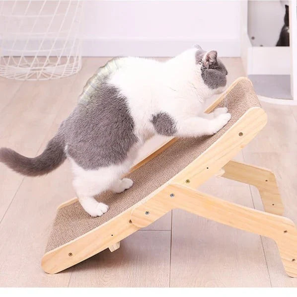 Le transat griffoir : l’alliance parfaite entre confort et besoin naturel de votre chat 🛏️🐾