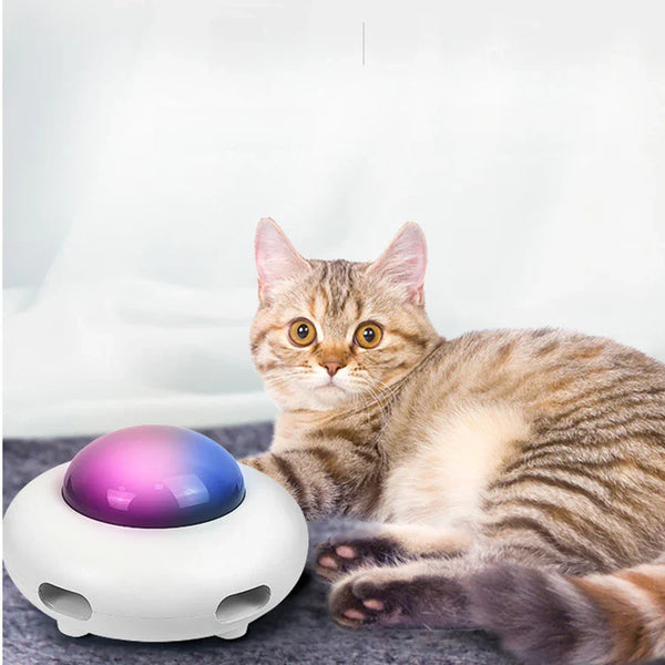 🚀 Stimuler l’instinct du chat, même à travers les étoiles