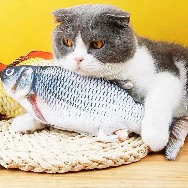🎣 Offrez à votre chat un compagnon de jeu aussi naturel que captivant !