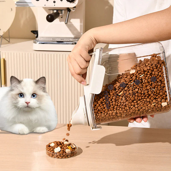 Que donner à manger à un chaton au printemps ? Les bons réflexes nutritionnels