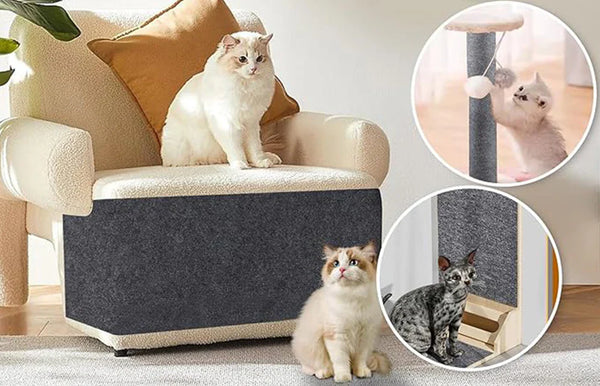 🐾 Griffoirs à coller : une solution futée pour préserver vos meubles et rendre votre chat heureux !