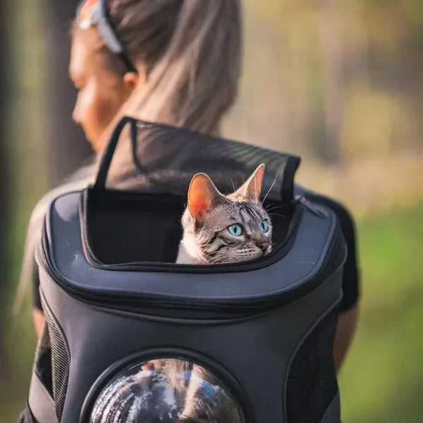 Pourquoi investir dans un sac de transport adapté pour les premières sorties ?