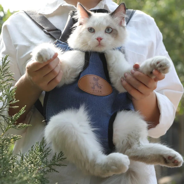 Bébé Chat - 🐱 Un cocon mobile pour les chats en plein air