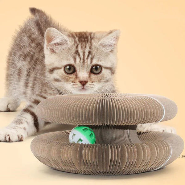 🐾 Le carton ondulé : un allié naturel pour le bien-être de votre chat