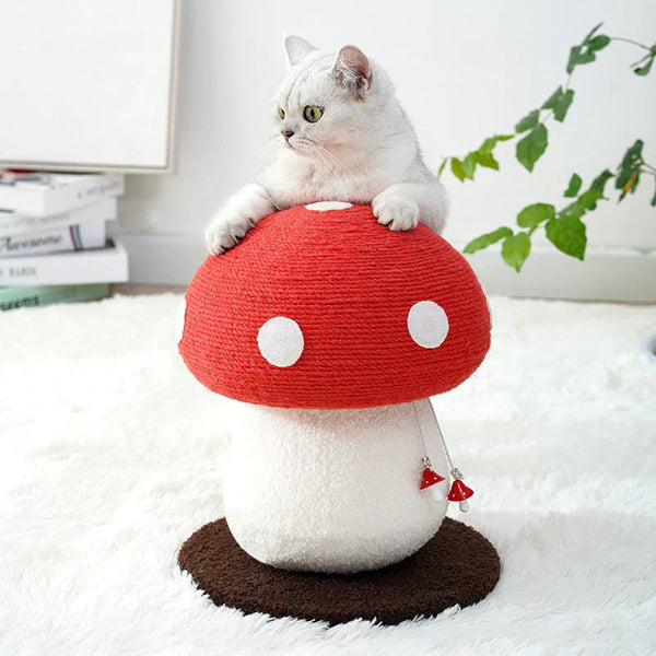 L’escalade, un besoin vital pour le chat : comment lui offrir des hauteurs sûres et stimulantes 🐈‍⬛🍄