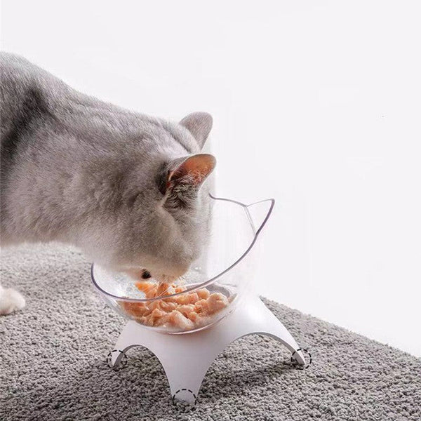 Les secrets d’une bonne alimentation pour un chat en pleine santé