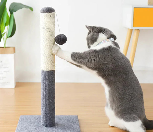 Poteau à griffer pour chat (50 cm) : un essentiel pour préserver ses griffes et son bien-être naturel 🐾