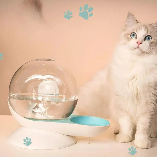 L’eau au printemps : comment bien hydrater votre chaton pour éviter la déshydratation ?