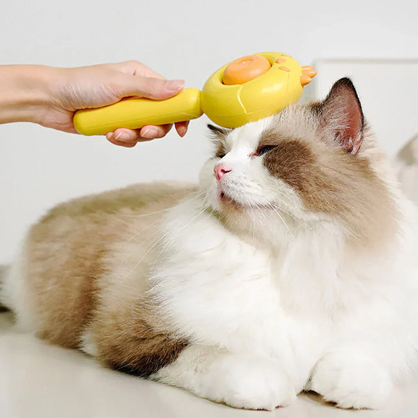 Comment bien brosser son chat pour éviter les nœuds et les boules de poils ?