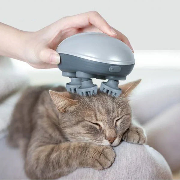 Les chats aiment-ils vraiment les massages ?