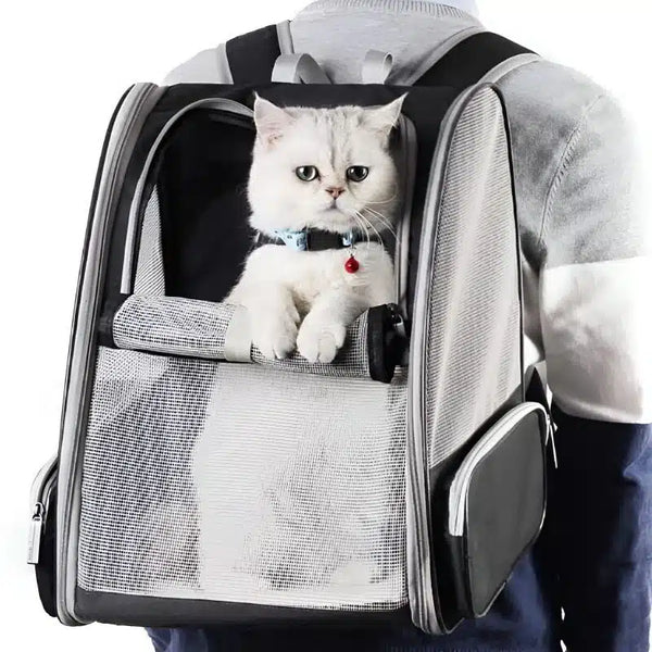 Sac à dos respirant pour chat adulte : offrez confort et sécurité à votre félin