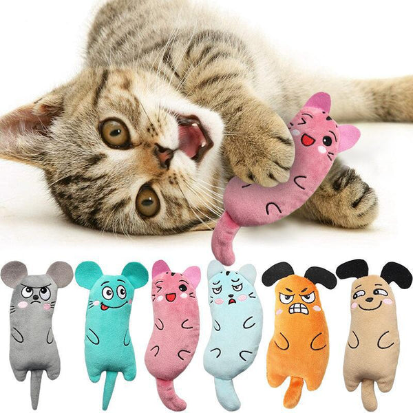 Les meilleurs jouets interactifs pour éveiller l’instinct naturel de votre chaton