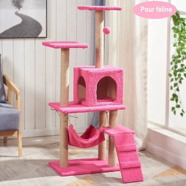 Pourquoi les structures d’escalade enrichissent profondément le quotidien de votre chat 🐱🧗‍♂️