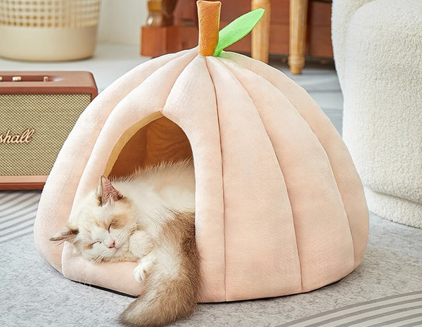 Lits et paniers pour chats
