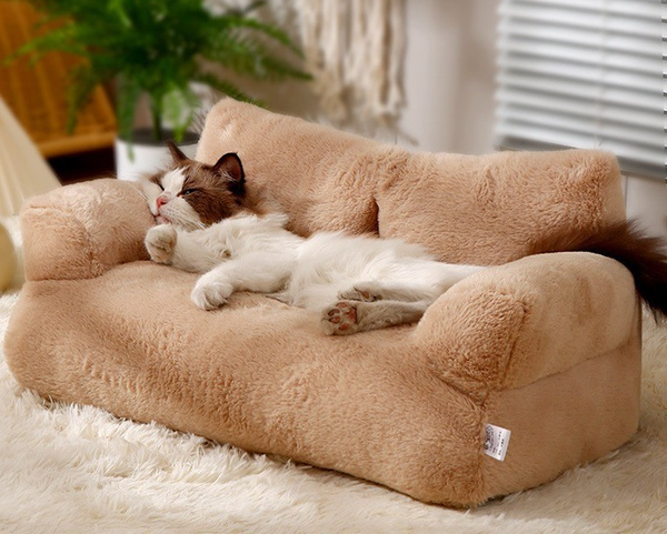 Canapés pour chats