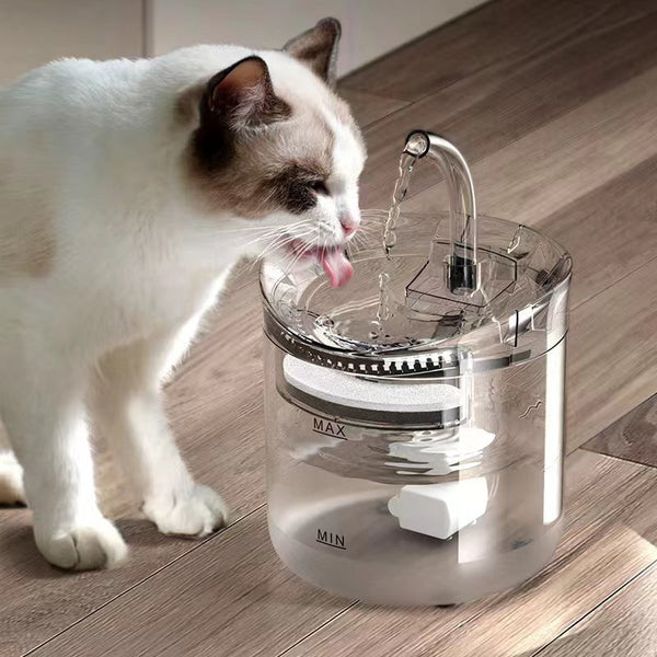 Fontaines d'eau pour chats