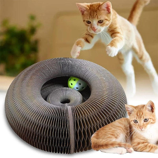 Jeux pour chats