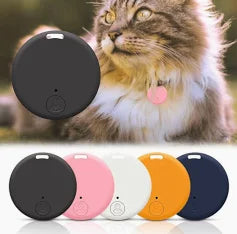 Sécurité de votre chat