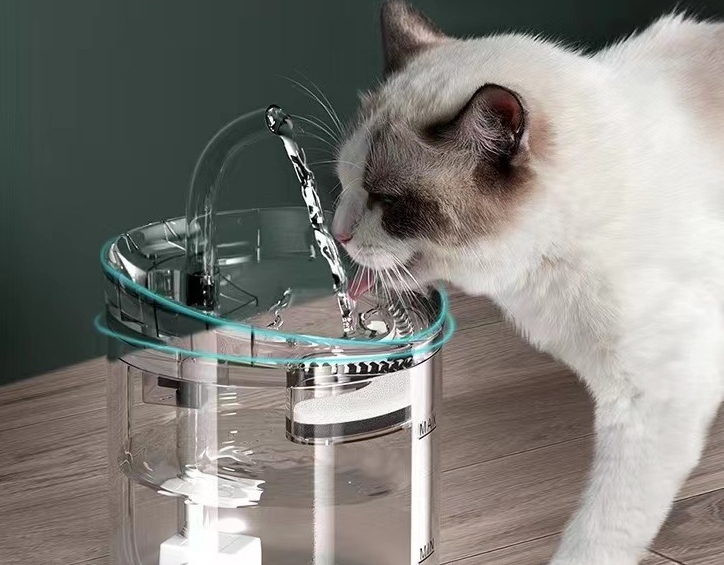 Distributeur d'Eau Automatique pour Chat - Circulation Intelligente et Température Constante