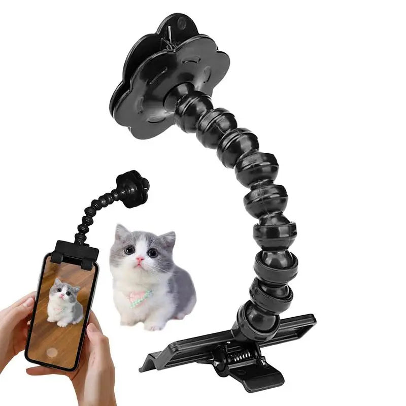 SELFIE CAT- L’Accessoire idéal pour Capturer les Meilleurs Moments de votre chat