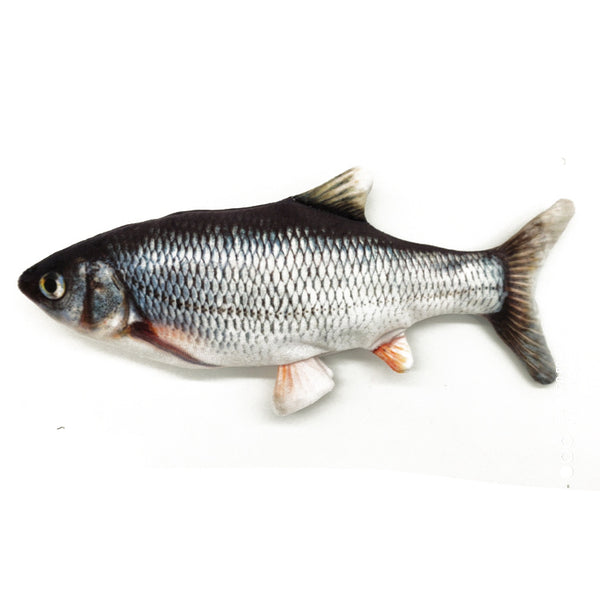 Jouet Interactif pour Chat – Poisson Électrique Bionique avec Catnip