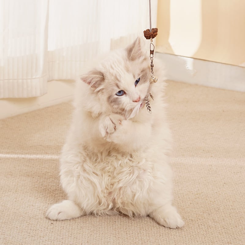 Balle Éducative pour Chat - Distributeur de Friandises