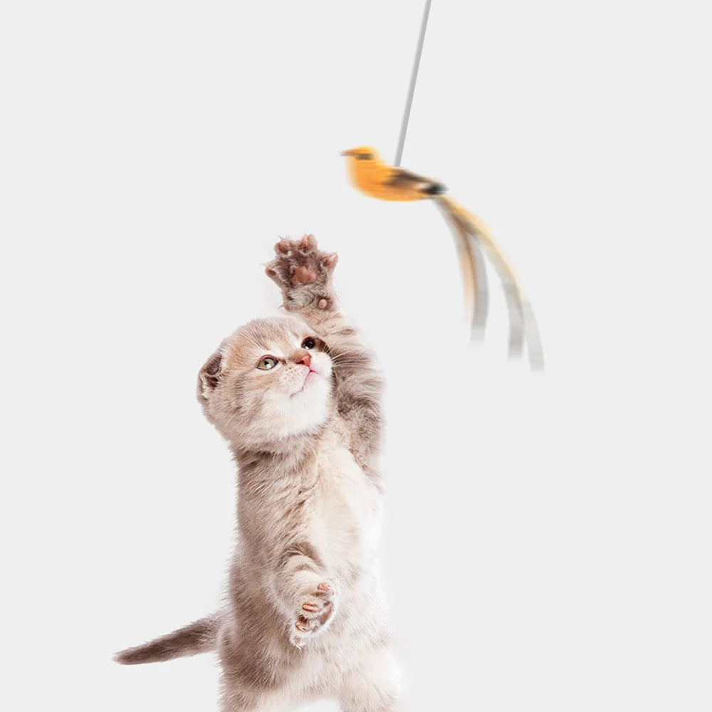 OISEAU FOU - Jouet pour chat - Amusement et Stimulation Intelligente