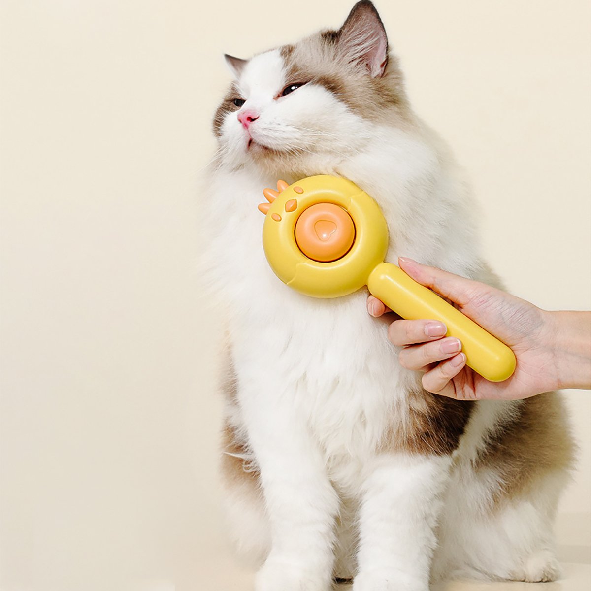 3 en 1 : Brosse de Massage, de Toilettage et Poils pour Chats