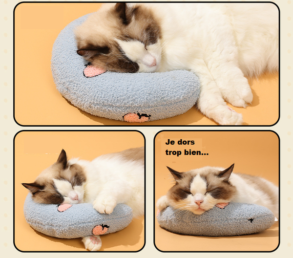 Coussin Oreiller pour chat