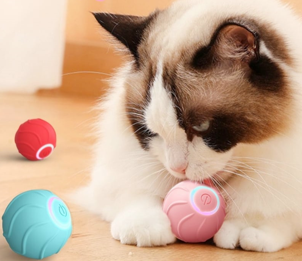 Jouet Intelligent- Balle Interactive Automatique pour Chats et Chatons