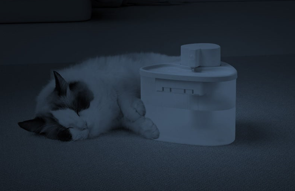 Fontaine à Eau Intelligent pour Chat