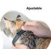 Collier Laser pour Chat - Jouet Interactif