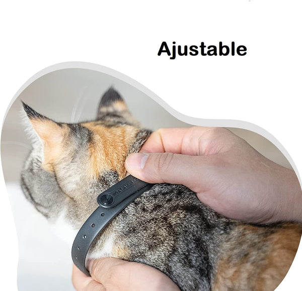 Collier Laser pour Chat - Jouet Interactif