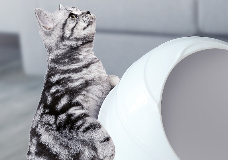 Capsule du futur - Grand bac à litière pour chat - Design moderne et épuré