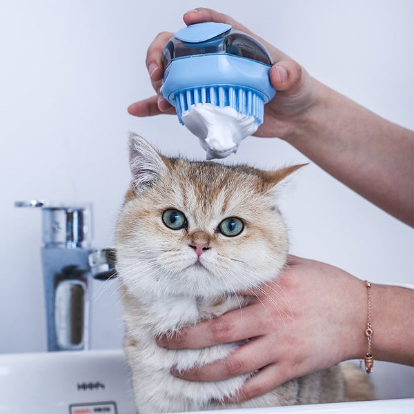 Nouvelle Brosse Toilettage en Un Clic pour Chats