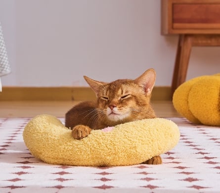 Coussin Oreiller pour chat