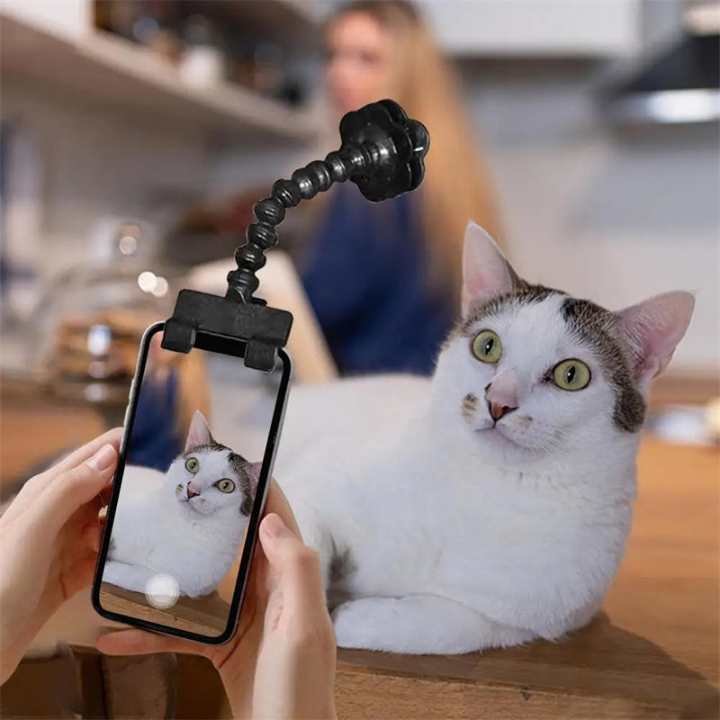 SELFIE CAT- L’Accessoire idéal pour Capturer les Meilleurs Moments de votre chat