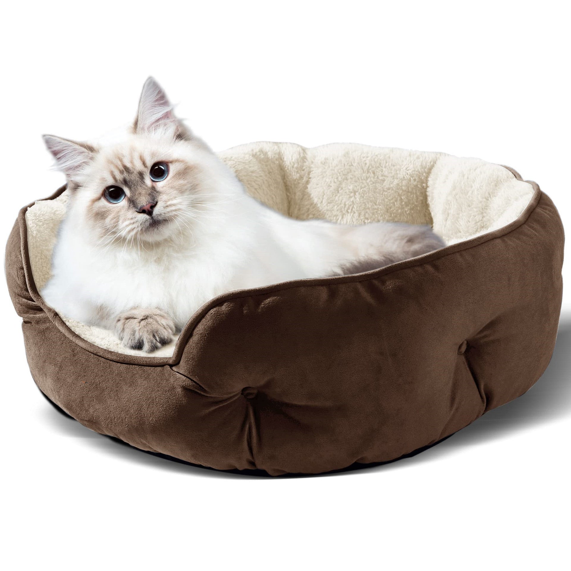 Lit rond douillet pour chat