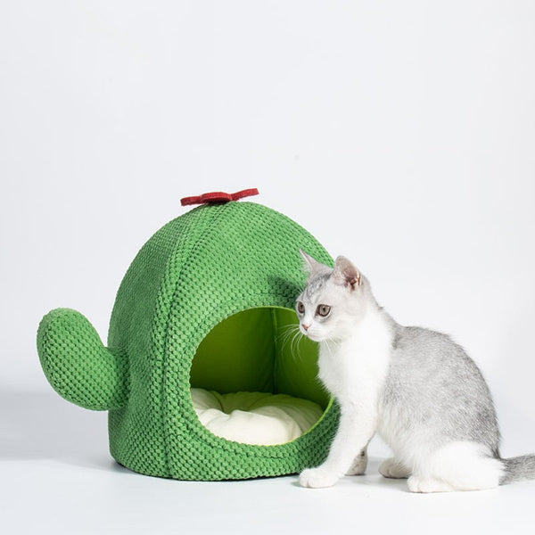 Niche Cactus Fermée et Confortable pour Chats - Parfaite pour l'Hiver