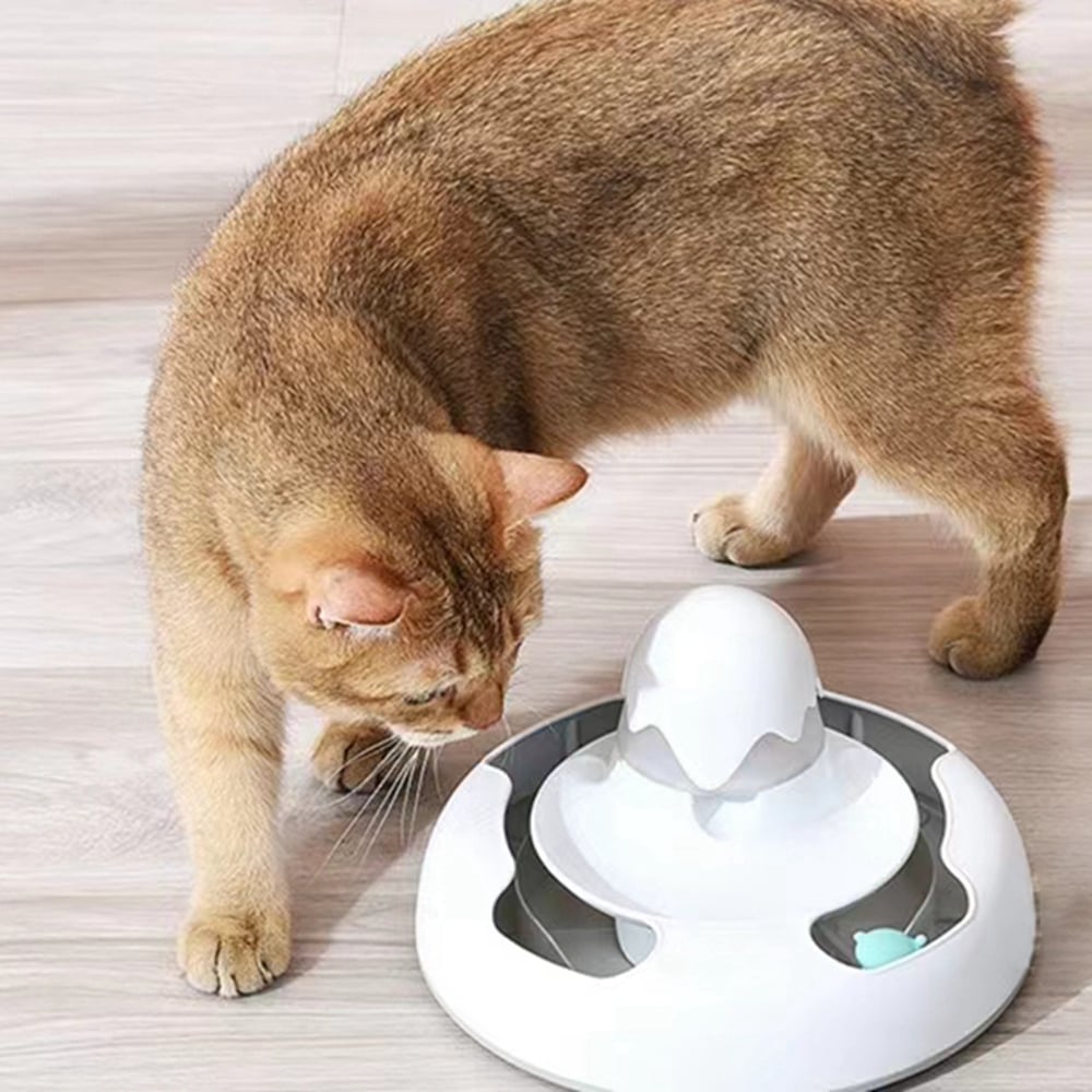 KITTY ROBOT – Le Jouet Interactif Révolutionnaire pour Chat