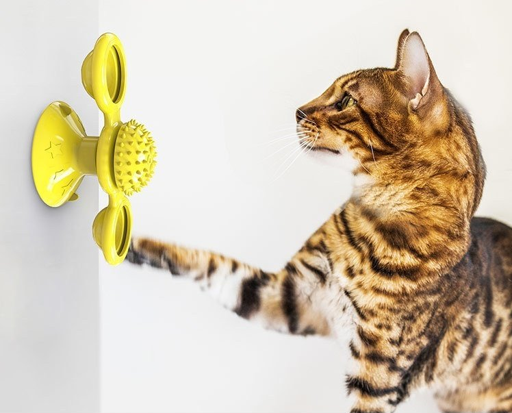 Moulin à Vent Tournant - Jouet intéractif et ludique pour chat