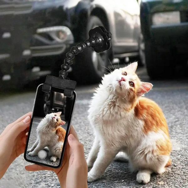 SELFIE CAT- L’Accessoire idéal pour Capturer les Meilleurs Moments de votre chat